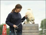 Náhodná fotogalerie