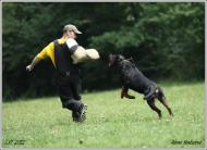 Náhodná fotogalerie