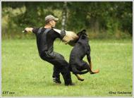 Náhodná fotogalerie