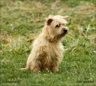 Náhodná fotogalerie