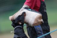 Náhodná fotogalerie
