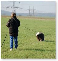 Náhodná fotogalerie