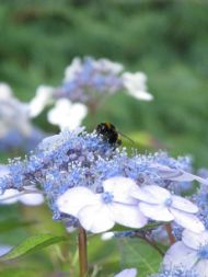 Náhodná fotogalerie