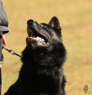 Náhodná fotogalerie