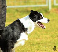 Náhodná fotogalerie