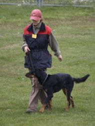 Náhodná fotogalerie