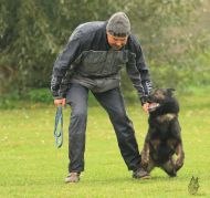 Náhodná fotogalerie