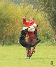 Náhodná fotogalerie