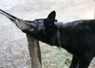 Náhodná fotogalerie