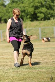 Náhodná fotogalerie