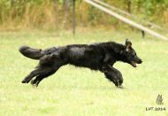 Náhodná fotogalerie