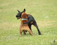 Náhodná fotogalerie